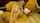camgirl blonde masturbation