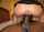 cowgirl riding bbc