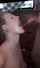 deepthroat deep throat
