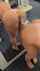 hot anal dildo