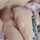 anal creampie tattoo