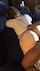 bbc interracial doggy