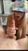 amateur blonde onlyfans