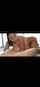 camgirl tattoo big tits