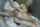 amateur anal vaginal