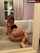 cute amateur teen