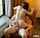 ass couple sex