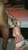 bbc interracial blonde
