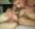 teen threesome sexy