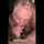 blonde blowjob doggystyle