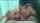 amateur escort threesome