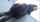 anal public ebony
