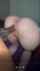 white interacial ass