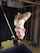 bondage frog tie asian