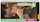 bbc blowjob brunette