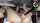solo dildo masturbation