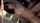 jav asian orgasm