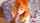 redhead amateur pov