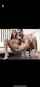 hot teen sex