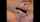 camgirl blond fuck