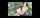 jav straight outdoor