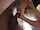bbc interracial blonde