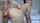 camgirl amateur anal