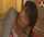 mom son jav