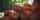 amateur camgirl glasses