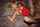 bbc interracial blonde