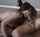blowjob latina oral