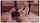 jav japan asian