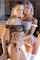 blonde lesbians small tits