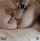lingerie fingering squirt