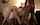 threesome big butts doggy style