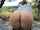 big ass outdoors anal