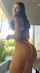 bikini twerking ass