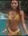 bikini brunette big tits