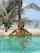 pool palms teen