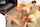japanese jav asian