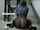 asian dildo full body tights
