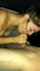 blowjob amateur brunette