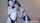 camgirl amateur teen