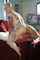 milf tattoo mature