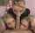 blowjob blonde group