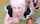 pink hair big tits cumshot
