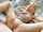 camgirl amateur brunette