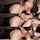 petite brown hair blowjob
