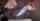 hentai big tits anal