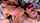 webcam lesbians lesbian
